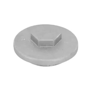 Bouchon de vidange P2R