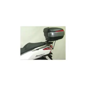 Fixations Top Case Shad
