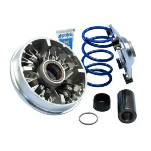 Variateur Polini