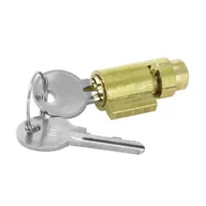 Verrou antivol de fourche P2R