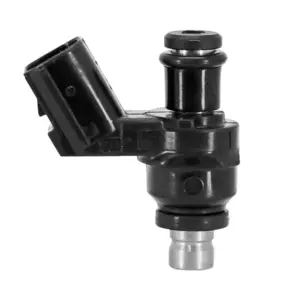 Injecteur P2R