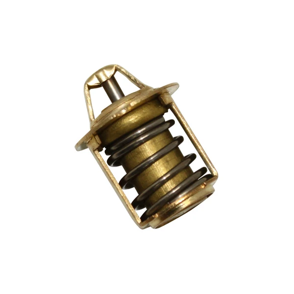 Thermostat P2R Thermostat P2R
