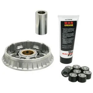 Variateur Malossi