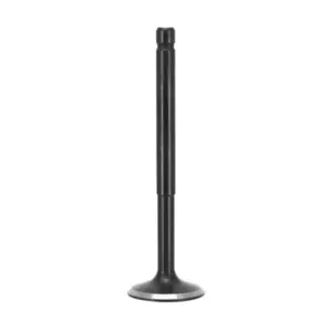 soupape d'échappement P2R