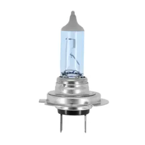 Ampoule Flosser