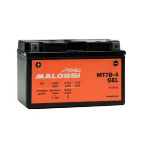 Batterie Malossi
