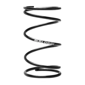 Ressort de variateur Malossi