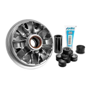 Variateur Polini