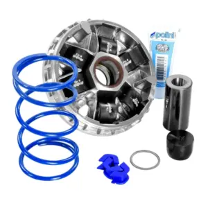 Variateur Polini
