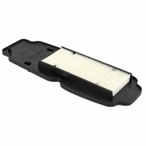 Filtre à air P2R