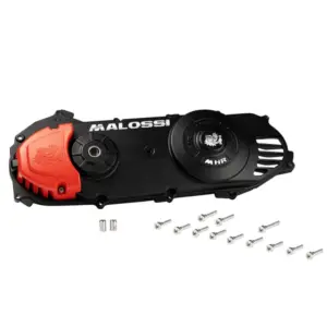 Carter de variation Malossi