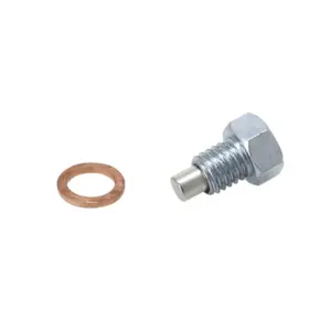 Bouchon de vidange P2R