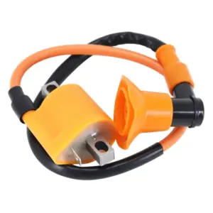 Bobine d'allumage P2R