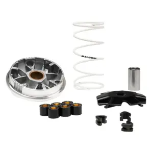 Variateur Malossi