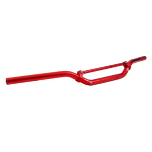 Guidon Artek
