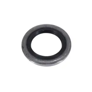 Joint spi de fourche P2R