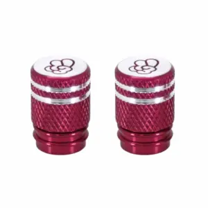 Bouchon de valve Vicma