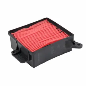 Filtre à air P2R
