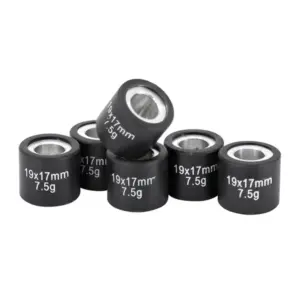 Rouleau Magneti Marelli