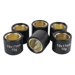 Rouleau Magneti Marelli