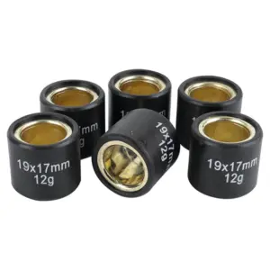 Rouleau Magneti Marelli