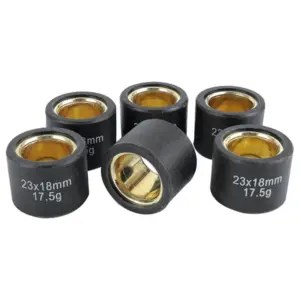 Rouleau Magneti Marelli