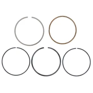 Segment Magneti Marelli