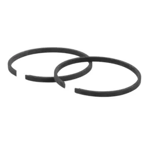 Segment P2R