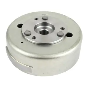 Rotor P2R