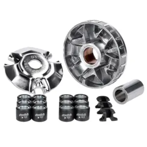 Variateur Polini