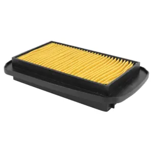Filtre à air P2R