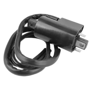 Bobine d'allumage P2R