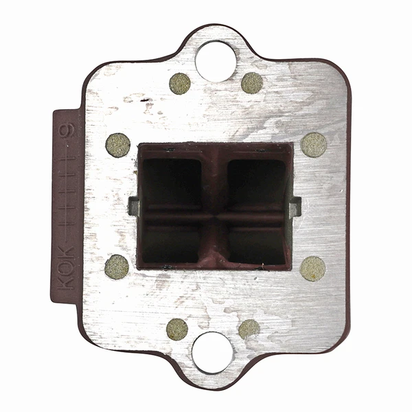 Clapet Polini Clapet Polini – Image 3