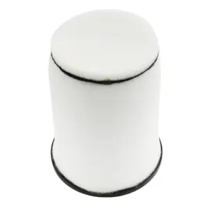 Filtre a air P2R