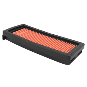 Filtre à air P2R