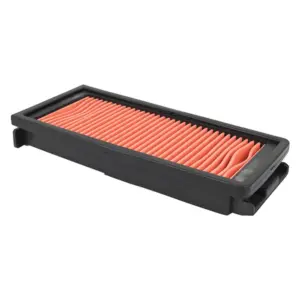 Filtre à air P2R