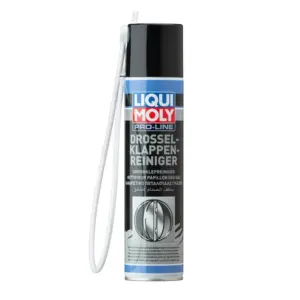 Nettoyant papillon de gaz LiquiMoly