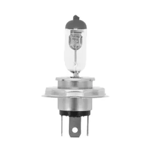 Ampoule P2R