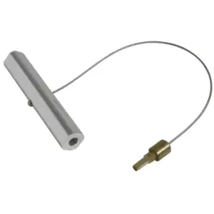 Tire valve P2R