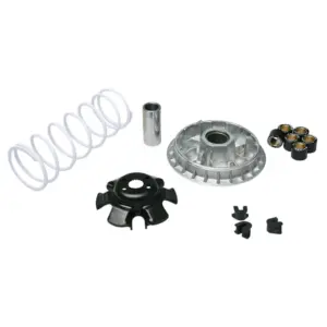 Variateur Malossi
