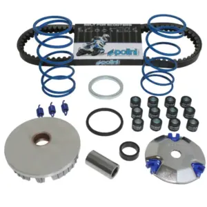 Variateur Polini