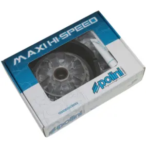 Variateur Polini