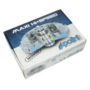 Variateur Polini