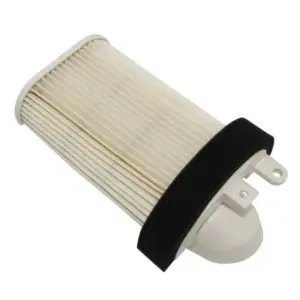 Filtre à air P2R