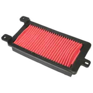 Filtre à air P2R
