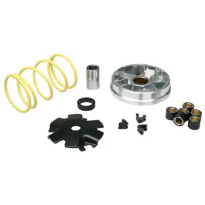 Variateur Malossi
