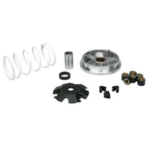 Variateur Malossi