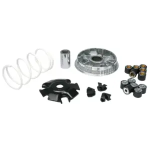 Variateur Malossi