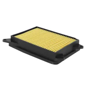 Filtre à air P2R
