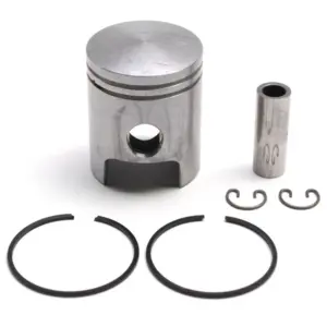 Piston Polini